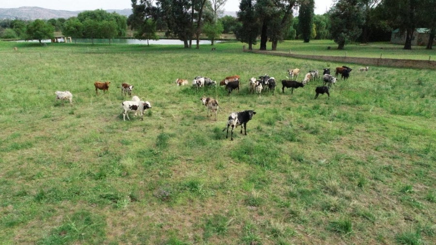 6 Bedroom Property for Sale in Remhoogte AH North West